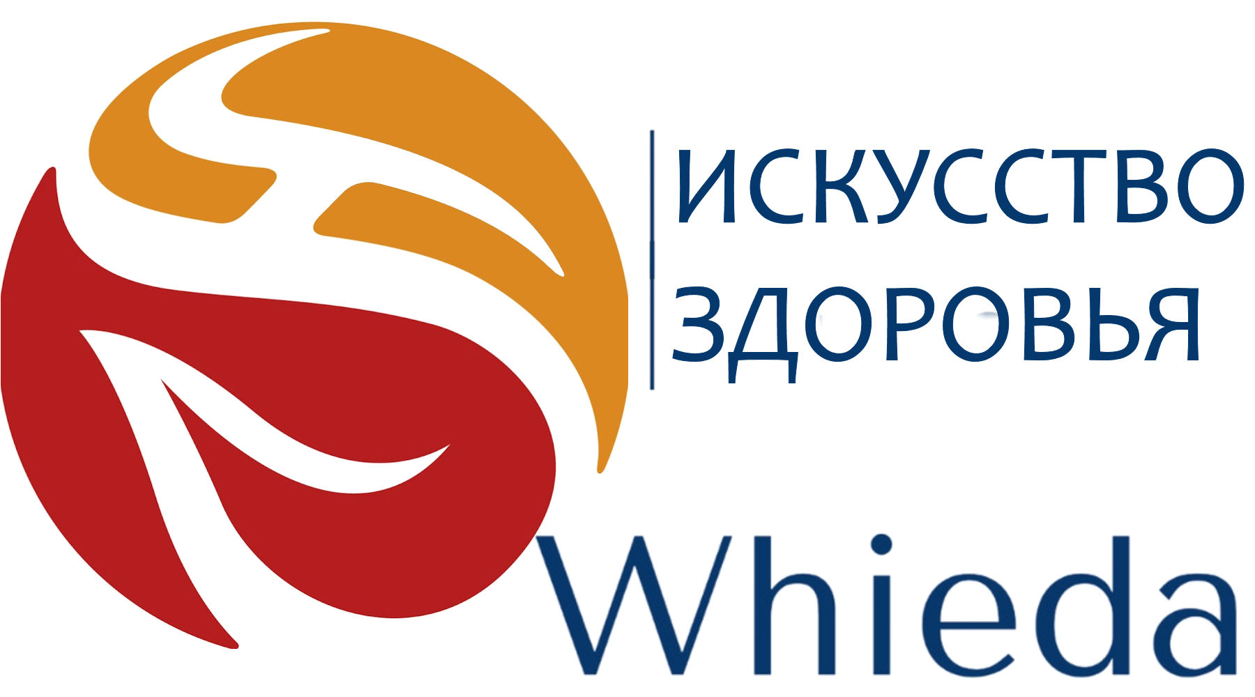 Whieda++ – искусство здоровья